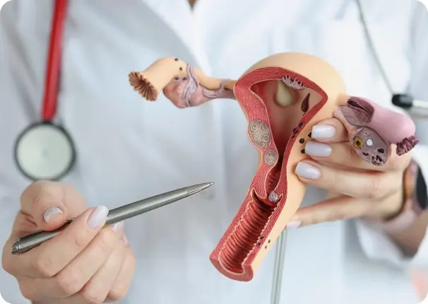 Gynaecological Cancer